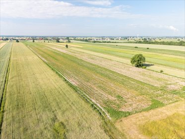Spokój Longinówki. Wygoda Piotrkowa. działka Longinówka