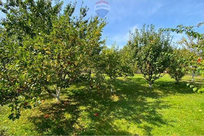 Dom na sprzedaż Bór Zapilski 104m2 Foto 6