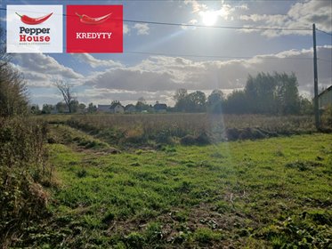 Na sprzedaż działka budowlana 2102 m² z warunkami zabudowy działka Raczki Elbląskie
