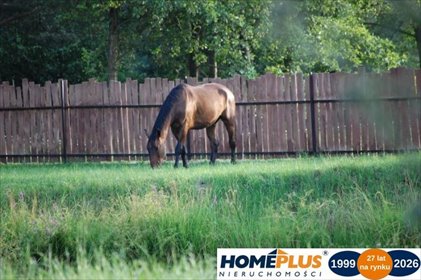 działka na sprzedaż 4995m2 działka Nowe Załubice