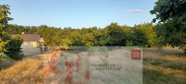 Urokliwa działka z domkiem pod lasem, 3300 m2. działka Lublin, Głusk