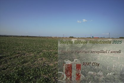 działka na sprzedaż 8244m2 działka Długie