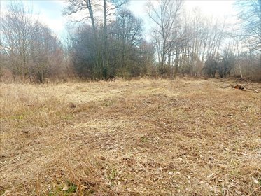 Działka budowlana na sprzedaż Milanówek 9 150m2 Foto 4