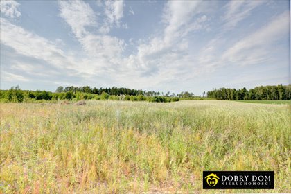 działka na sprzedaż 3000m2 działka Wojeniec