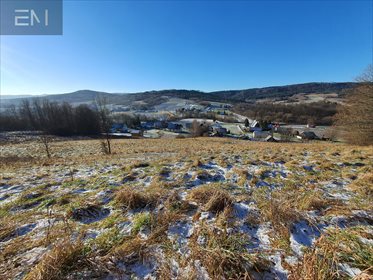 Działka budowlana na sprzedaż Żyznów 9 600m2 Foto 1