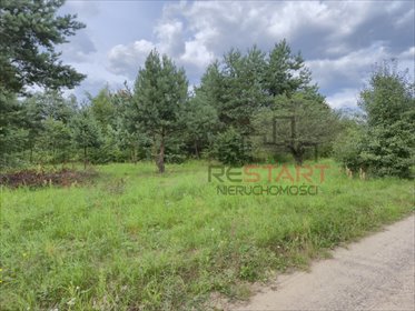 Działka 3000 m² z pozwoleniem na budowę w Piotrkowicach działka Piotrkowice