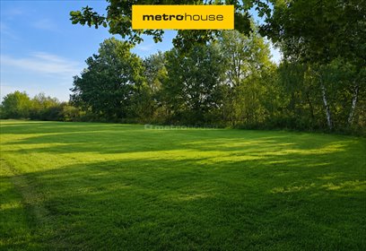 Działka 3000 m² z mediami - spokój i natura w Zakrzewie działka Zakrzewo, Zakrzewo Kościelne