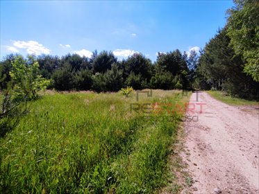 działka na sprzedaż 17304m2 działka Tomaszew