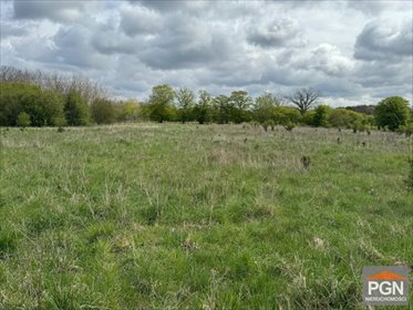 działka na sprzedaż 3000m2 działka Grębowo