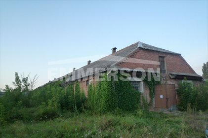 Działka budowlana na sprzedaż Drwalew, Drwalew 208 533m2 Foto 7
