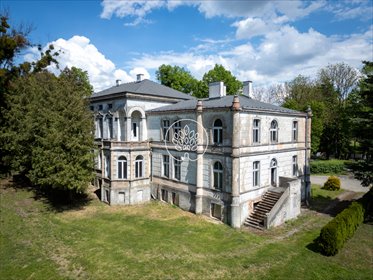 Zabytkowy pałac z potencjałem hotelowym i inwestycyjnym lokal użytkowy Ostaszewo