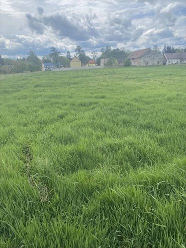 Działka budowlana 45,67 arów z dostępem do prądu i wody działka Trzeboszowice