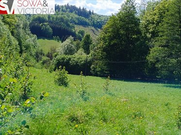 Działka pod inwestycję turystyczną 8 400 m² z dostępem do energii działka Michałkowa