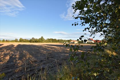 Działka budowlana na sprzedaż Borkowice 1 200m2 Foto 3
