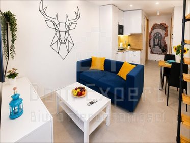 Kawalerka 24 m² z antresolą na Salwatorze - polecam! mieszkanie Kraków, Salwator, Stachowicza