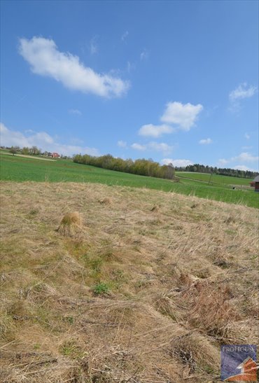 działka na sprzedaż 700m2 działka Siekierczyna