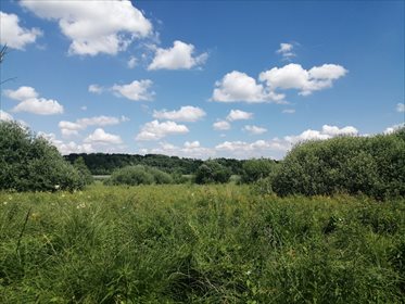 Działka rolna na sprzedaż Krąplewo 9 213m2 Foto 2