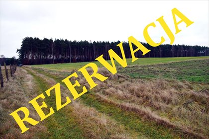 działka na sprzedaż 19700m2 działka Ostroróg, obręb Ostroróg