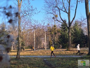 mieszkanie na wynajem 25m2 mieszkanie Wrocław