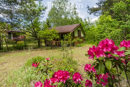 działka na sprzedaż 1300m2 działka Mokre