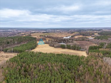 działka na sprzedaż 77072m2 działka Pasieka