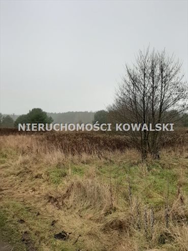 Działka rekreacyjna na sprzedaż Zarośle Cienkie 3 281m2 Foto 2