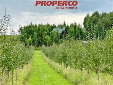 Na sprzedaż działka 13 100 m² z domkiem, sadem i szkółką choinek działka Chęciny, Radkowice