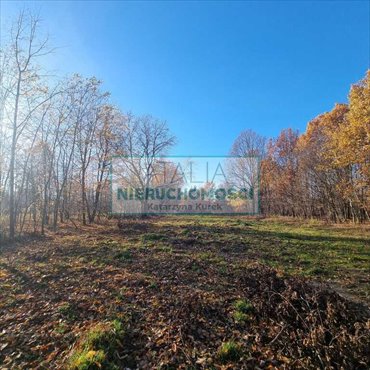 Działka 2461 m² w spokojnej okolicy z dobrym dojazdem działka Chrzanów Mały