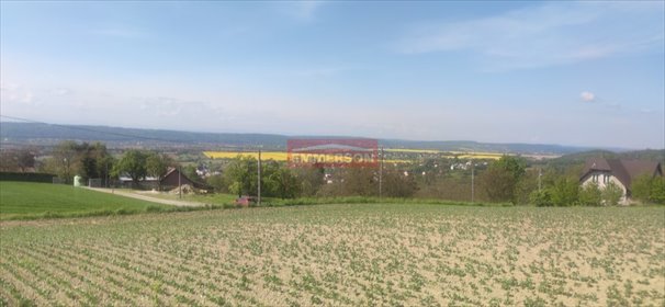 działka na sprzedaż 2000m2 działka Karniowice, gaj