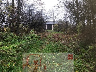 działka na sprzedaż 5200m2 działka Anielpol