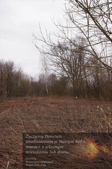 działka na sprzedaż 6000m2 działka Kazimierz Dolny