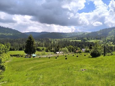 Działka 3627 m² z widokiem na góry i sadem w Soblówce działka Soblówka