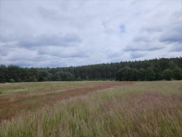 działka na sprzedaż 1204m2 działka Klepin