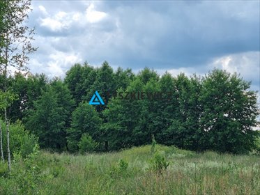 działka na sprzedaż 3015m2 działka Puc