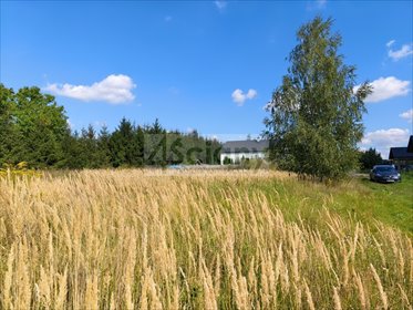 Zapraszam do zakupu działki 1400 m² z mediami w cichej okolicy działka Zaręby
