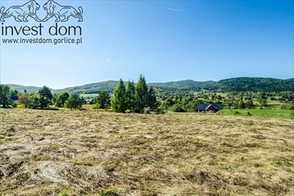Sprzedam działkę 5621 m² w uzdrowisku Wysowa-Zdrój działka Wysowa-Zdrój