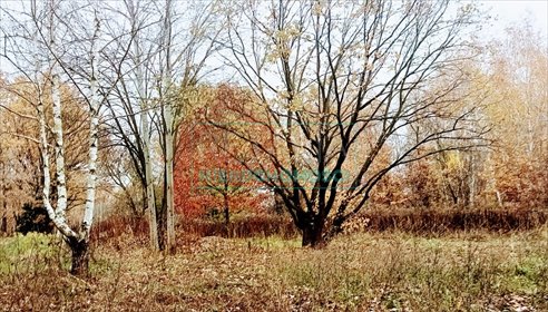 Działka 1500 m² pod dom i usługi w Milanówku działka Milanówek