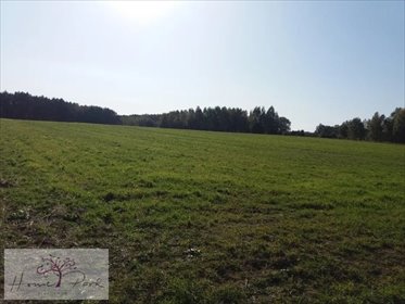 działka na sprzedaż 39731m2 działka Pabianice, Klimkowizna