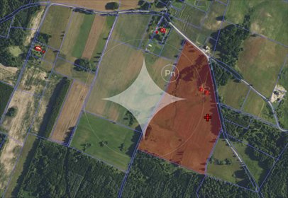 działka na sprzedaż 109013m2 działka Opin