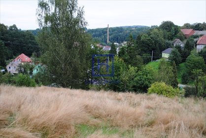 Działka budowlana na sprzedaż Miłoszów, Miłoszów 6 500m2 Foto 3