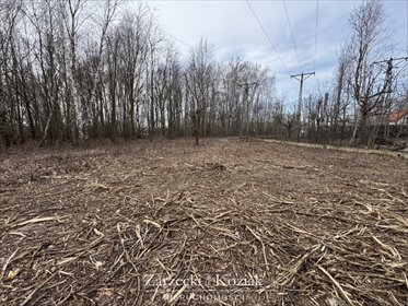 Działka budowlana na sprzedaż Milanówek, Chrzanów, Księżycowa 2 003m2 Foto 7