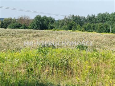Działka inwestycyjna na sprzedaż Barczewo, Barczewo 39 554m2 Foto 2