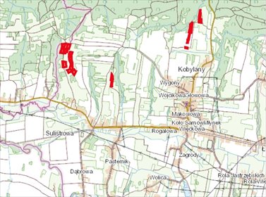 Działka na sprzedaż 42600m2 działka Kobylany, Sulistrowa