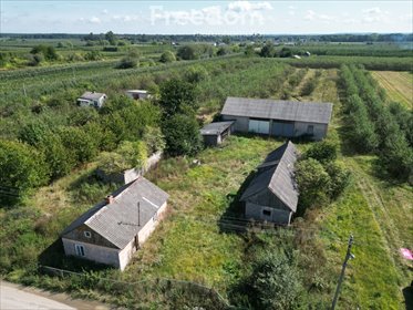 dom na sprzedaż 8600m2 dom Głodno