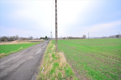 Zapraszam do zakupu działki 7 968 m² w Zakanale, Gorzów Wielkopolski działka Gorzów Wielkopolski, Zakanale