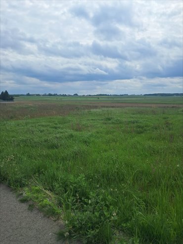 działka na sprzedaż 1306m2 działka Lisków, Strzałków