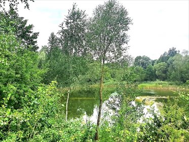 Polecam dużą działkę 10,09 ha z stawami i potencjałem rozwoju działka Mońki