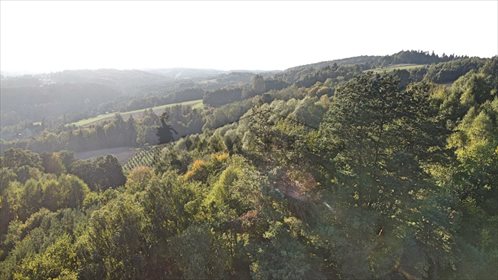 Działka leśna na sprzedaż Ryglice, Wola Lubecka 18 566m2 Foto 5