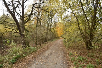 działka na sprzedaż 27300m2 działka Pilchowice