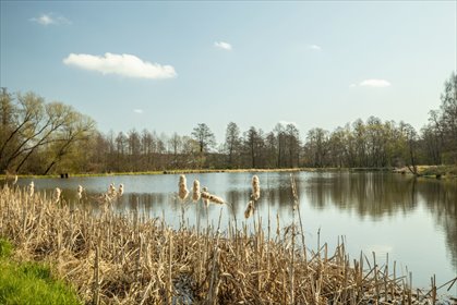 działka na sprzedaż 1099m2 działka Boczki Domaradzkie